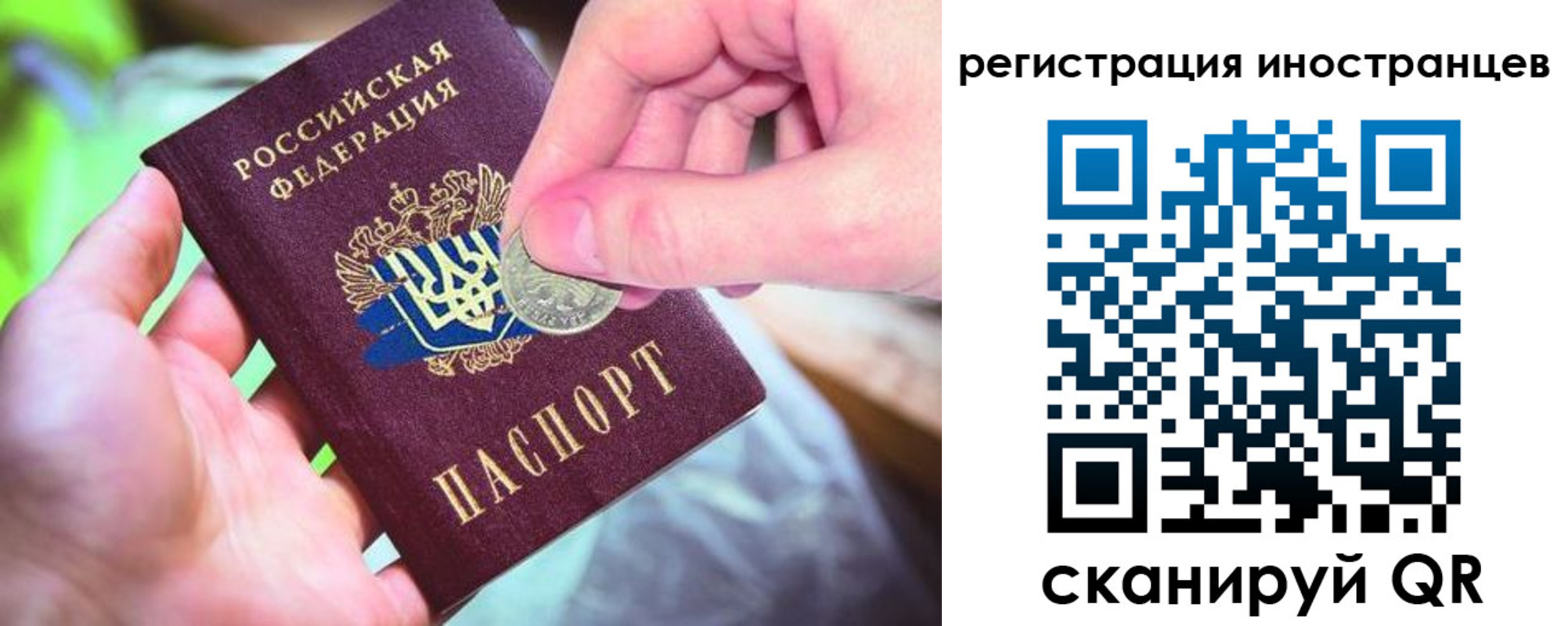 прописка для работы в Химках